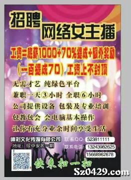 招聘网络主播_直播间网络主播招聘海报(3)