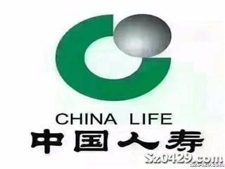 中国人寿保险招聘_中国人寿保险 招聘展架图片(3)