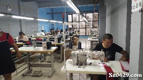 缝纫工招聘网_鑫都服饰熟练缝纫工招聘 招聘图片