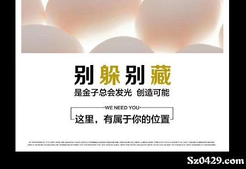 私人助理招聘_借公司名义招私人助理 包养保编制一条龙,假意招聘实则真猎艳(3)