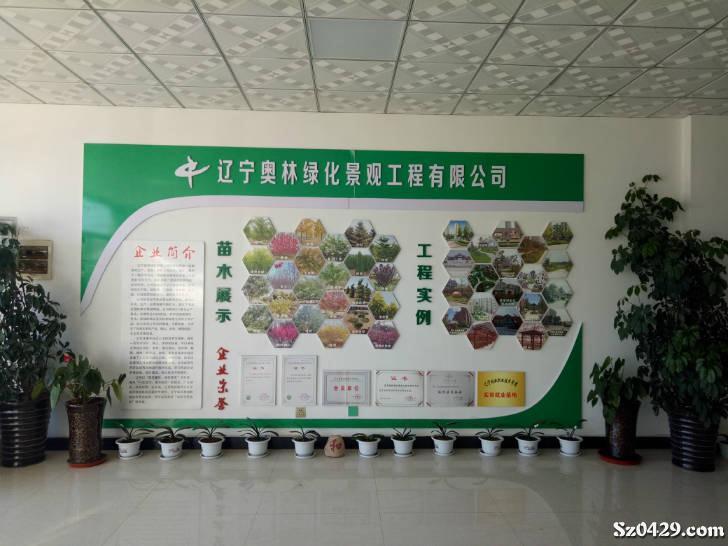 园林绿化招聘_和县中央花园景观绿化(2)