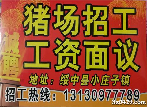 饲养员招聘_招聘信息 黑龙江养兔场招聘饲养员